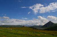 132 Wikingermuseum Borg