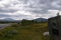 205 Dovrefjell