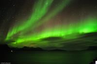 Martin Büchner - MS Finnmarken - Polarlicht-33