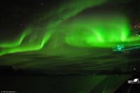 Martin Büchner - MS Finnmarken - Polarlicht-42