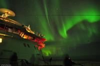 Martin Büchner - MS Finnmarken - Polarlicht-76