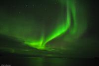 Martin Büchner - MS Finnmarken - Polarlicht-85