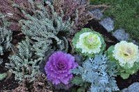 Tag 02 Ålesund & Hjørundfjord NO-HURTK 10 (28)