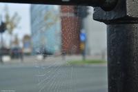 Tag 03 Trondheim NO-HURTK 10 (5)