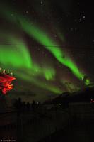 Tag 05 Tromsø & Polarlicht NO-HURTK 10 (18)