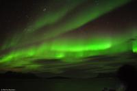 Tag 05 Tromsø & Polarlicht NO-HURTK 10 (23)