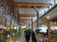 Hurtigrute, Flug mit Norwegian, Umstieg in Oslo