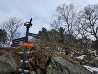 Hurtigrute, Alesund, Akslaberg