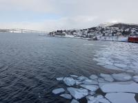 Hurtigrute, unterwegs mit MS Finnmarken