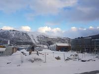 Hurtigrute, Tromsö, Polaria Museum
