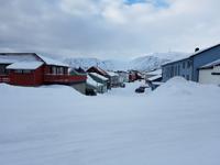 Hurtigrute, Honningsvag auf der Nordkapinsel