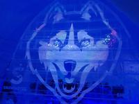 Hurtigrute, Kirkenes, Schneehotel