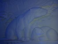 Hurtigrute, Kirkenes, Schneehotel