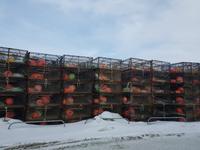 Hurtigrute, Kirkenes, Käfige für Königskrabben