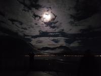 Hurtigrute, unterwegs mit MS Finnmarken