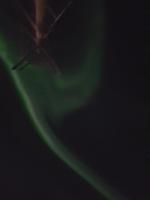 Hurtigrute, unterwegs mit MS Finnmarken