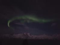 Hurtigrute, unterwegs mit MS Finnmarken