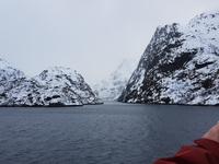 Hurtigrute, Trollfjord