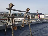 Hurtigrute, Besuch auf MS Spitsbergen