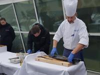 Hurtigrute, unterwegs mit MS Finnmarken