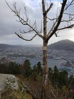 Hurtigrute, Blick vom Foyen auf Bergen