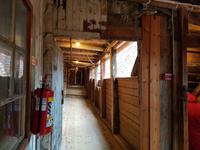 Hurtigrute, Bergen, Bryggen