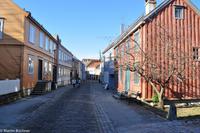 Hurtigruten - MS Nordnorge (50)