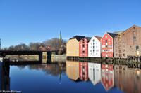Hurtigruten - MS Nordnorge (51)