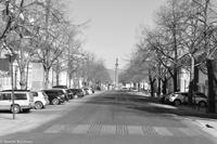 Hurtigruten - MS Nordnorge (64)