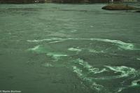 Hurtigruten - MS Nordnorge (88)