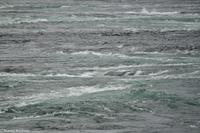 Hurtigruten - MS Nordnorge (90)