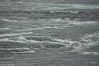 Hurtigruten - MS Nordnorge (91)