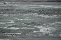 Hurtigruten - MS Nordnorge (92)