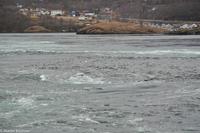 Hurtigruten - MS Nordnorge (94)