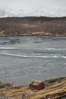 Hurtigruten - MS Nordnorge (96)