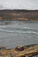 Hurtigruten - MS Nordnorge (97)