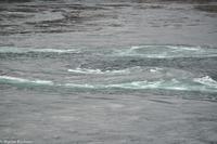 Hurtigruten - MS Nordnorge (98)