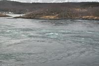Hurtigruten - MS Nordnorge (100)