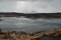 Hurtigruten - MS Nordnorge (101)