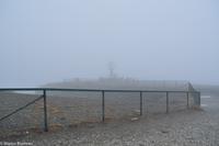 Hurtigruten - MS Nordnorge (137)