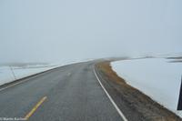 Hurtigruten - MS Nordnorge (145)