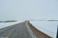 Hurtigruten - MS Nordnorge (146)