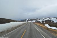 Hurtigruten - MS Nordnorge (147)