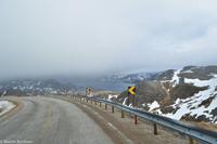 Hurtigruten - MS Nordnorge (148)