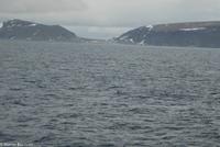 Hurtigruten - MS Nordnorge (171)