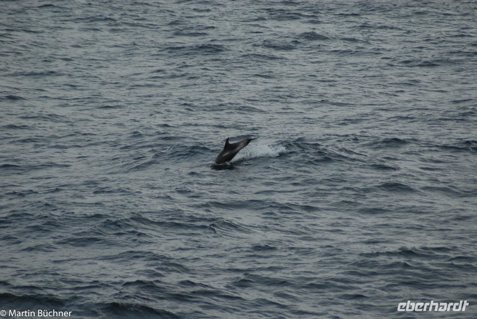 Hurtigruten - MS Nordnorge (172)