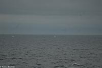 Hurtigruten - MS Nordnorge (178)