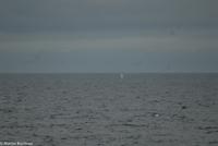 Hurtigruten - MS Nordnorge (179)