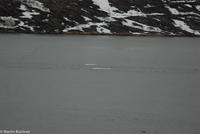 Hurtigruten - MS Nordnorge (189)