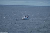 Hurtigruten - MS Nordnorge (194)